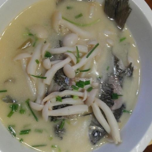 牛奶蘑菇鯽魚湯