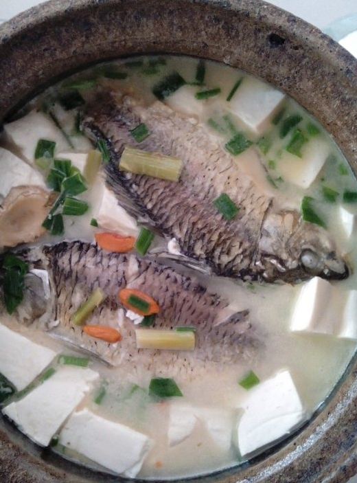 家常燉鯽魚湯