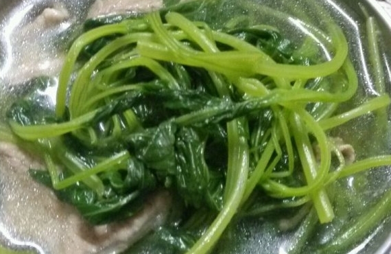 益母草瘦肉湯