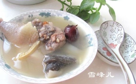 冬補甲魚母雞湯