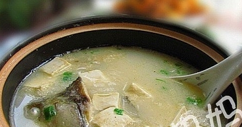 魚頭魚尾豆腐湯