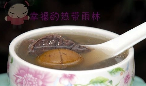 青橄欖煲豬肺湯