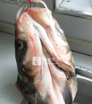 魚頭濃湯火鍋