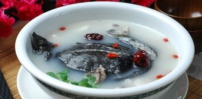 哪些人不能吃甲魚