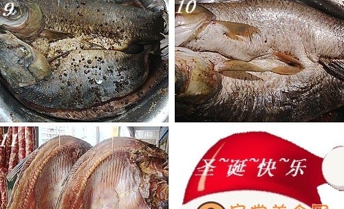 自製湖北臘魚