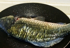 雷公根鯽魚湯