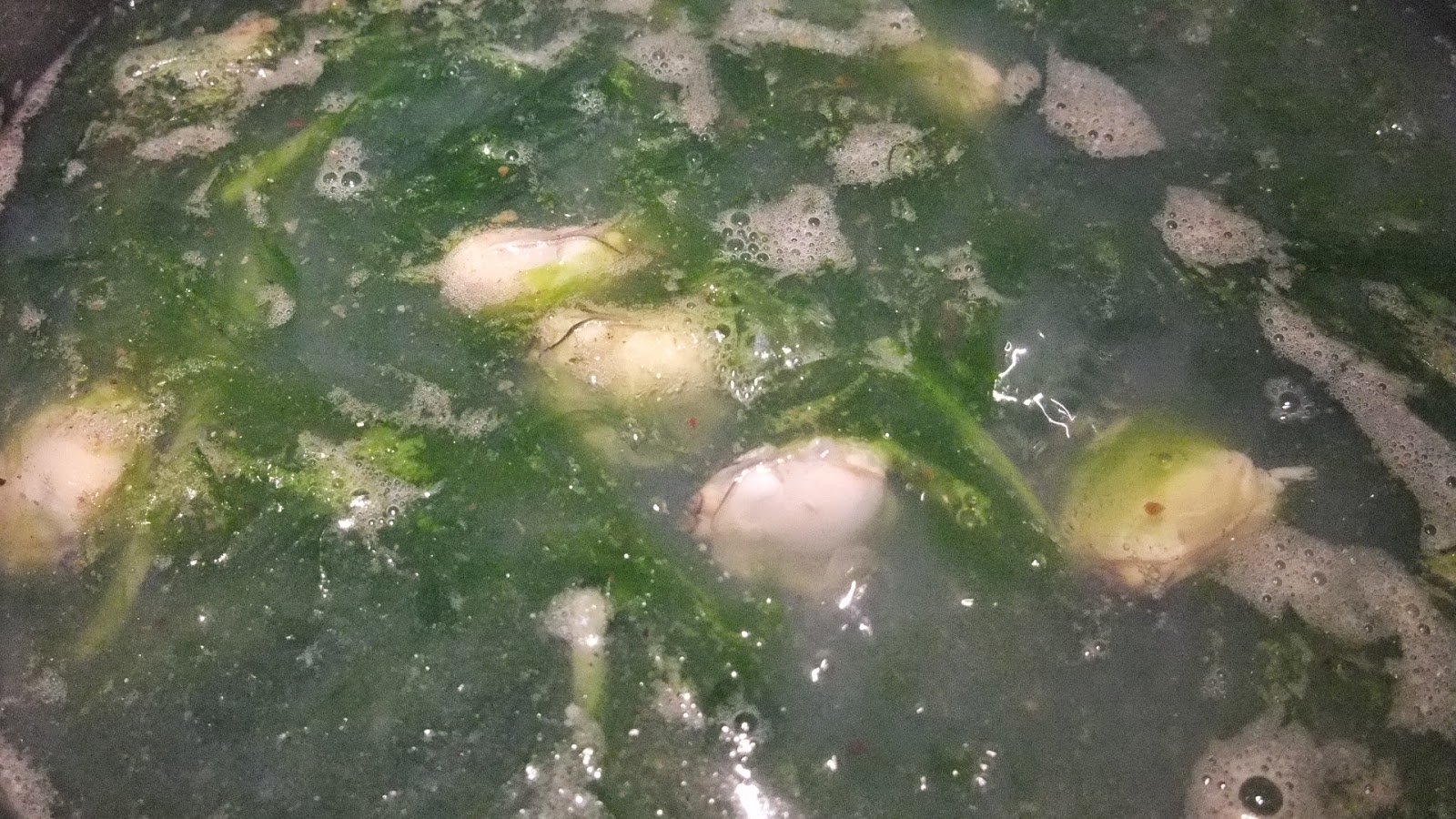 蛤蜊魚湯