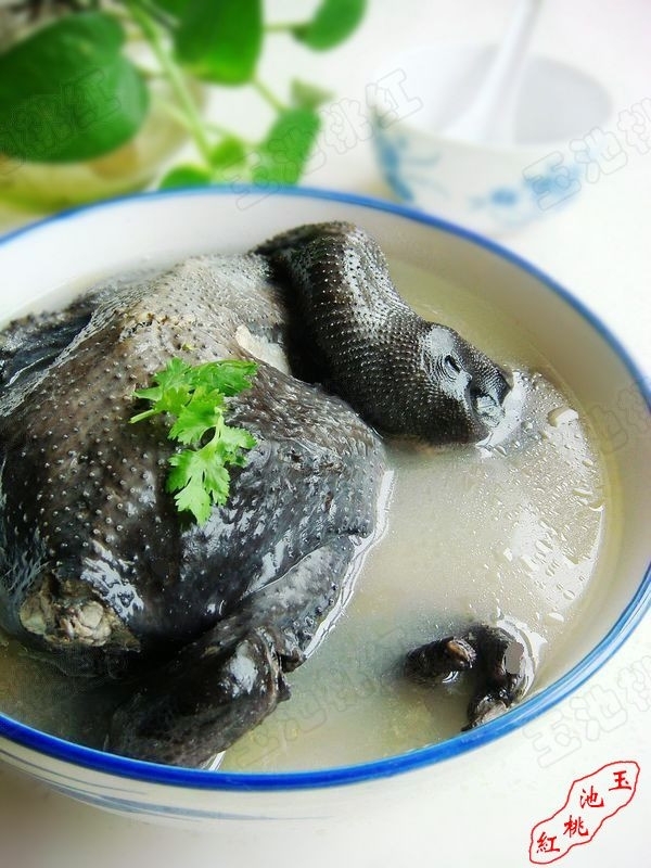 清燉烏雞湯