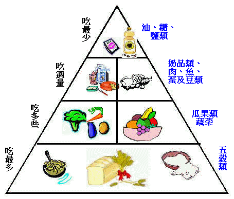 尖椒大蔥炒魷魚