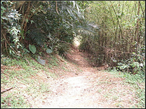 東北烀鹹菜加滷蛋一鍋出