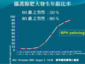 吃什麼對攝護腺好